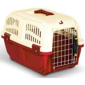 Cusca Transport Skudo