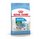 Royal Canin Mini Starter 8 kg